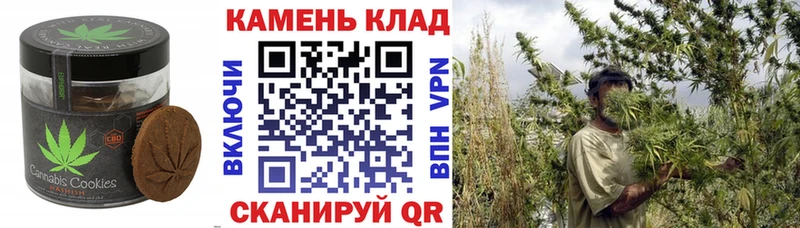 блэк спрут зеркало  Электросталь  Печенье с ТГК марихуана 
