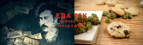 гидра Бронницы
