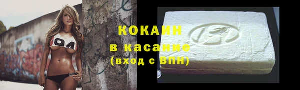 гидра Бронницы