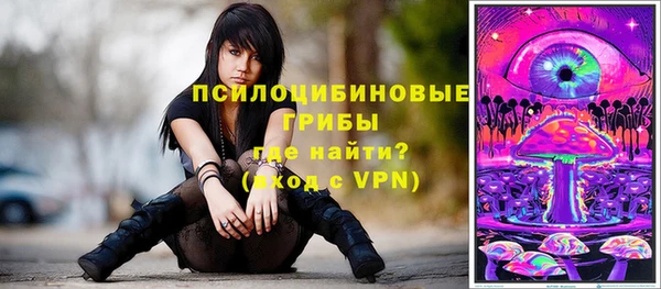 гидра Бронницы