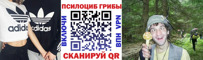 как найти закладки Электросталь Псилоцибиновые грибы Magic Shrooms